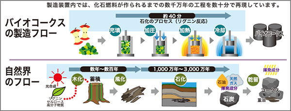 バイオコークスの製造フロー